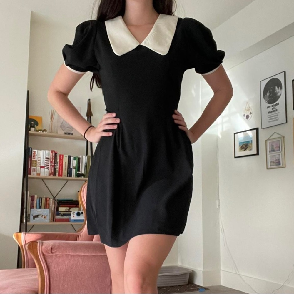 J.ING Black and White Tie Back Collared Dress